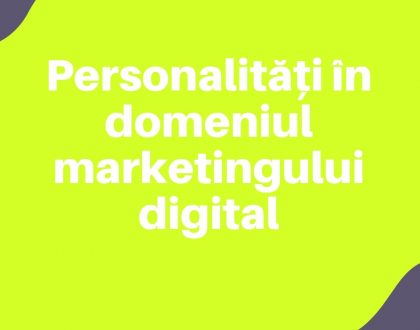 Personalitati in domeniul marketing ului digital